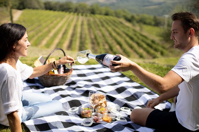 Winery Tour & picnic in the vineyard with a bottle of wine - What the wine portion adds to the visit