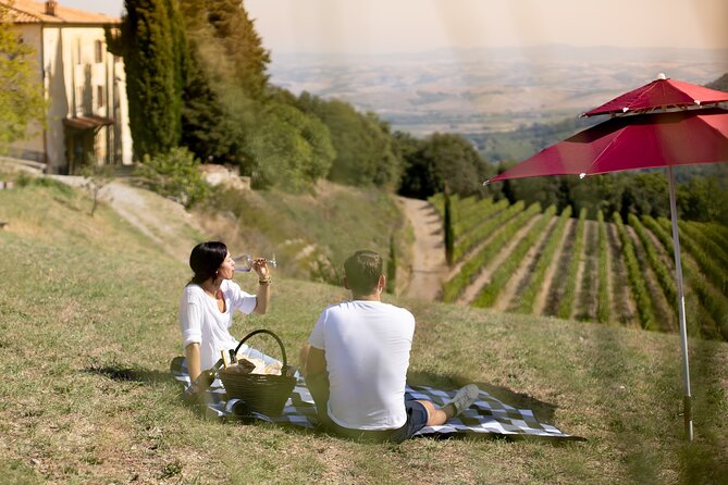 Winery Tour & picnic in the vineyard with a bottle of wine - Inside the vaulted cellar
