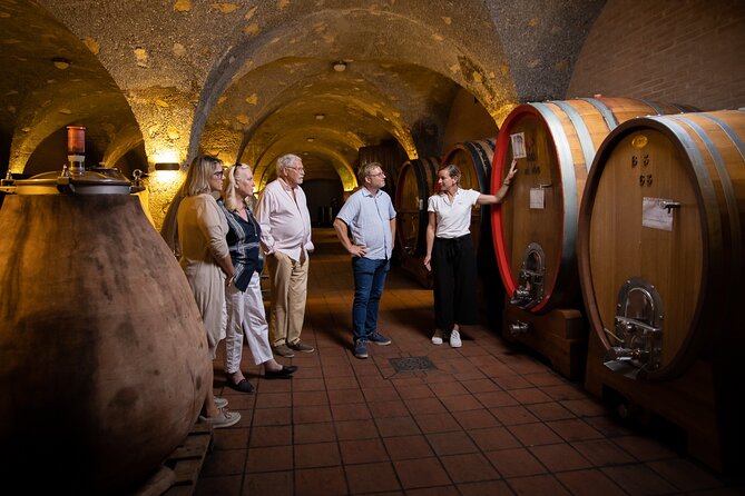 Winery tour & wine tasting in Montalcino - Starting at Corte Pavone near Montalcino