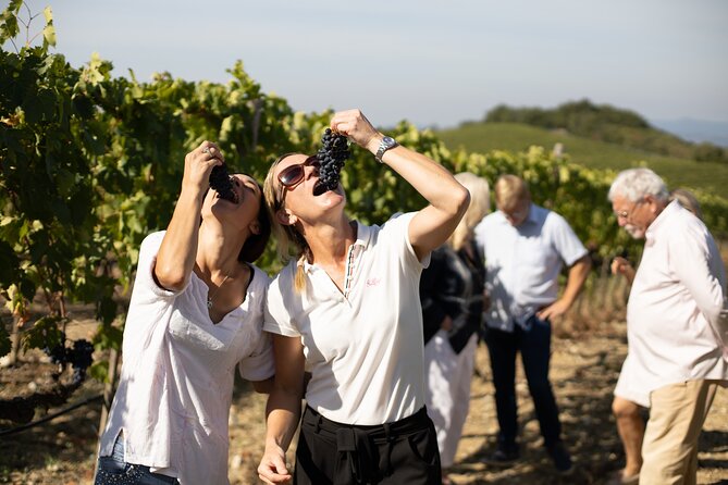 Winery tour & wine tasting in Montalcino - Six wines served in three flights