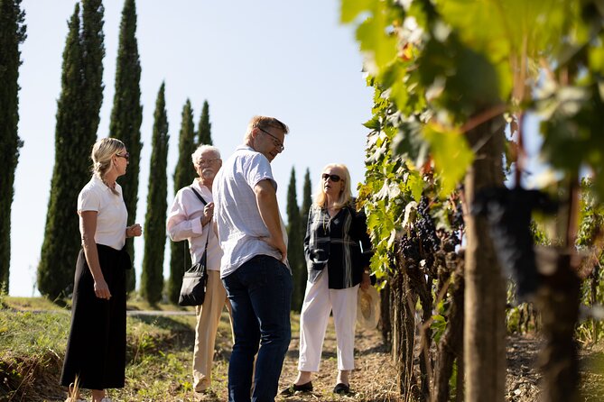 Winery tour & wine tasting in Montalcino - How to get the most from the 1-hour-45-minute format