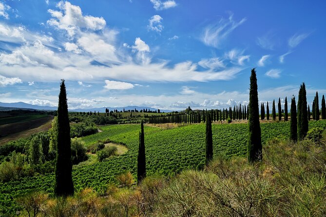 Winery tour & wine tasting in Montalcino - Should you book Corte Pavone?