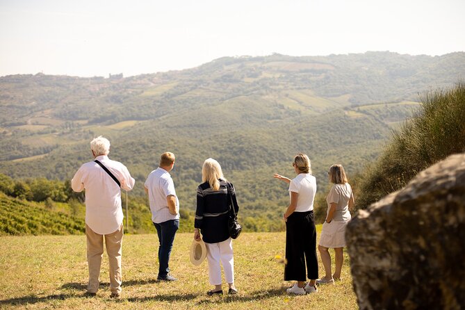Winery tour & wine tasting in Montalcino - Inside the processing area and cellar